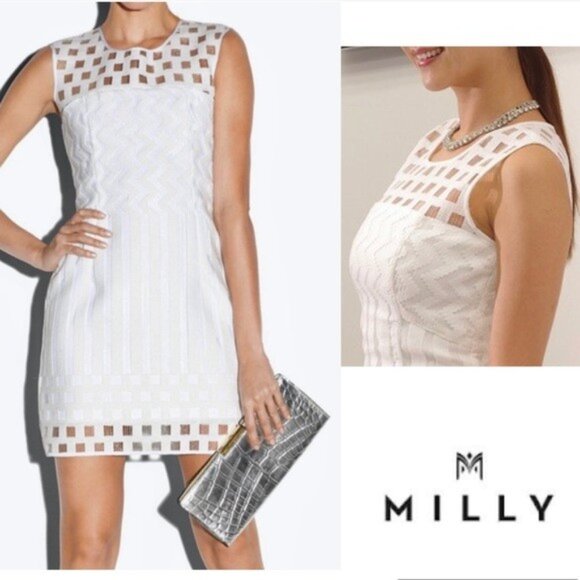 Milly Dresses & Skirts - Milly Shift Dress White Illusion Filament Jacquard Embroidered Mesh Back Zip 6